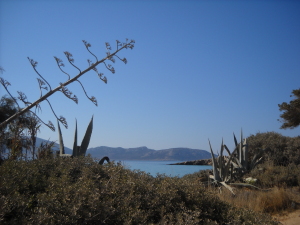 dscn3394